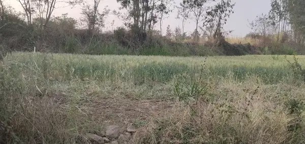 20 Gunthe Trambak Road ,Anjeneri Form Nashik Trimbak Highway 1.5 km