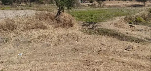 7 Gunthe Land For Sale, Tal Igatpuri Near Sanjegaon , Separate 7/12 