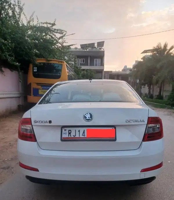 skoda octavia (2017)
