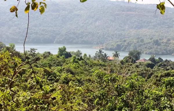 Uttan open plot along main road 8 gunt 2cr..
