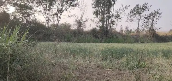 20 Gunthe Trambak Road ,Anjeneri Form Nashik Trimbak Highway 1.5 km