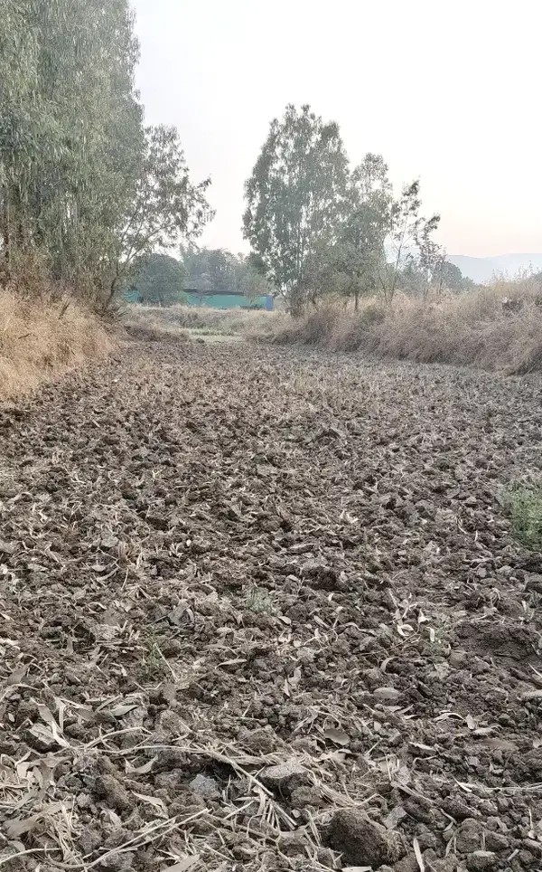 20 Gunthe Trambak Road ,Anjeneri Form Nashik Trimbak Highway 1.5 km