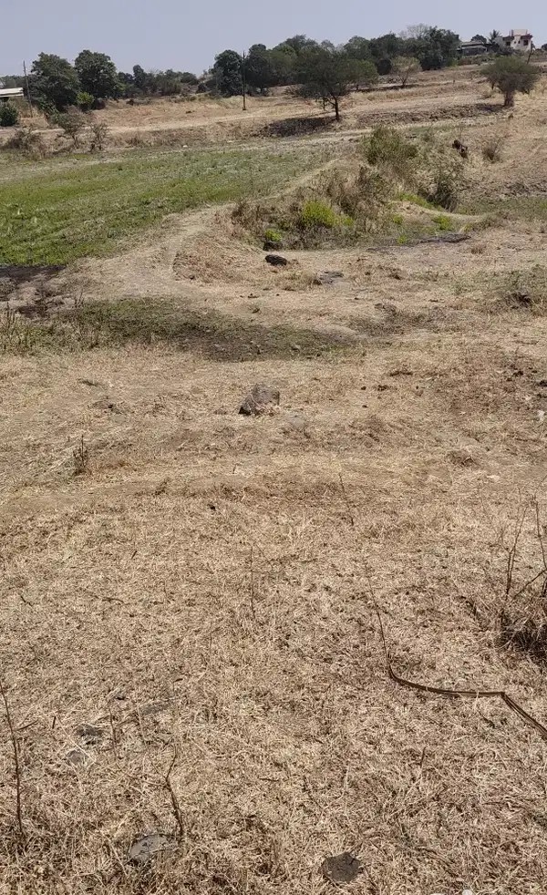 7 Gunthe Land For Sale, Tal Igatpuri Near Sanjegaon , Separate 7/12 